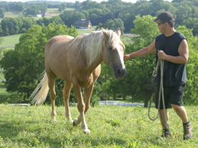 Rafael and Ivory Pal